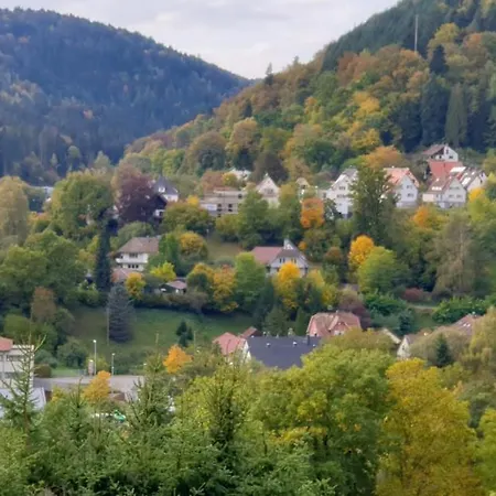 Apartment Miky Calw