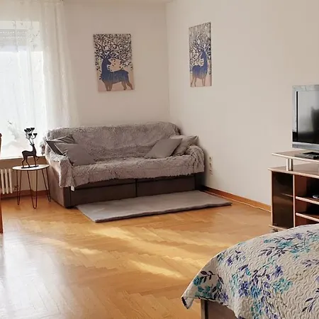 Apartment Miky Calw