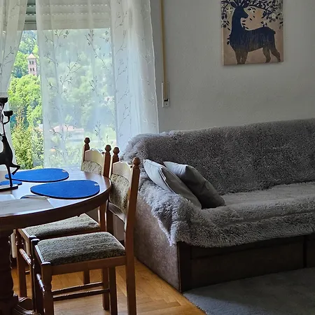Miky Apartment Calw