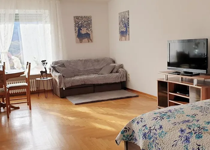 Apartament Miky Calw