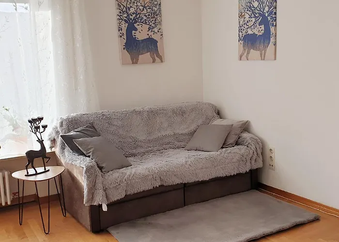 Miky Apartament Calw